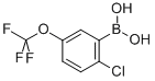 2-Chloro-5-trifluoromethoxyphenylboronic acidStructure,1022922-16-2Structure 2-Chloro-5-trifluoromethoxyphenylboronic acid Structure,1022922-16-2Structure
