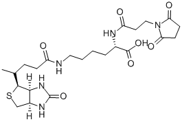 N-(3-馬來酰亞胺丙?；?生物胞素結構式_102849-12-7結構式
