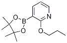Pyridine, 2-propoxy-3-(4,4,5,5-tetramethyl-1,3,2-dioxaborolan-2-yl)- Structure,1073371-87-5Structure