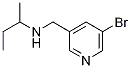 N-((5-溴吡啶-3-基)甲基)-2-丁胺結(jié)構(gòu)式_1183693-62-0結(jié)構(gòu)式
