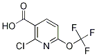2-Chloro-6-(trifluoromethoxy)nicotinic acid Structure,1221172-04-8Structure