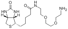 N-生物素-3,6-二氧辛烷-1,8-二胺結(jié)構(gòu)式_138529-46-1結(jié)構(gòu)式