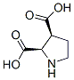 2,3-Pyrrolidinedicarboxylicacid,(2r-cis)-(9ci) Structure,147332-10-3Structure