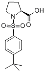 N-(4-叔丁基苯基磺酰基)-l-脯氨酸結(jié)構(gòu)式_286455-85-4結(jié)構(gòu)式