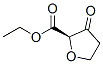 2-Furancarboxylicacid,2-ethyltetrahydro-3-oxo-,(2r)-(9ci)Structure,361460-19-7Structure 2-Furancarboxylicacid,2-ethyltetrahydro-3-oxo-,(2r)-(9ci) Structure,361460-19-7Structure