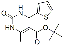 (9CI)-1,2,3,4-四氫-6-甲基-2-氧代-4-(2-噻吩)-5-嘧啶羧酸 1,1-二甲基乙酯結(jié)構(gòu)式_500268-74-6結(jié)構(gòu)式