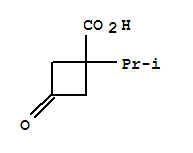 (9ci)-1-(1-甲基乙基)-3-氧代-環(huán)丁烷羧酸結構式_766513-48-8結構式