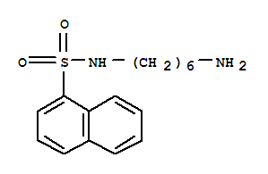 N-(6-氨基己基)萘-1-磺酰胺結(jié)構(gòu)式_79458-81-4結(jié)構(gòu)式