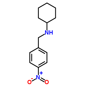 N-(4-硝基芐基)環(huán)己胺結(jié)構(gòu)式_59507-51-6結(jié)構(gòu)式