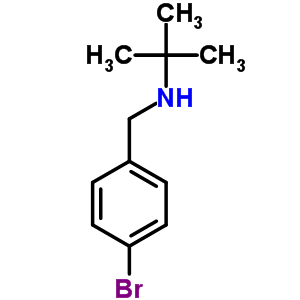 N-(4-溴芐基)-2-甲基丙烷-2-胺結(jié)構(gòu)式_87384-76-7結(jié)構(gòu)式